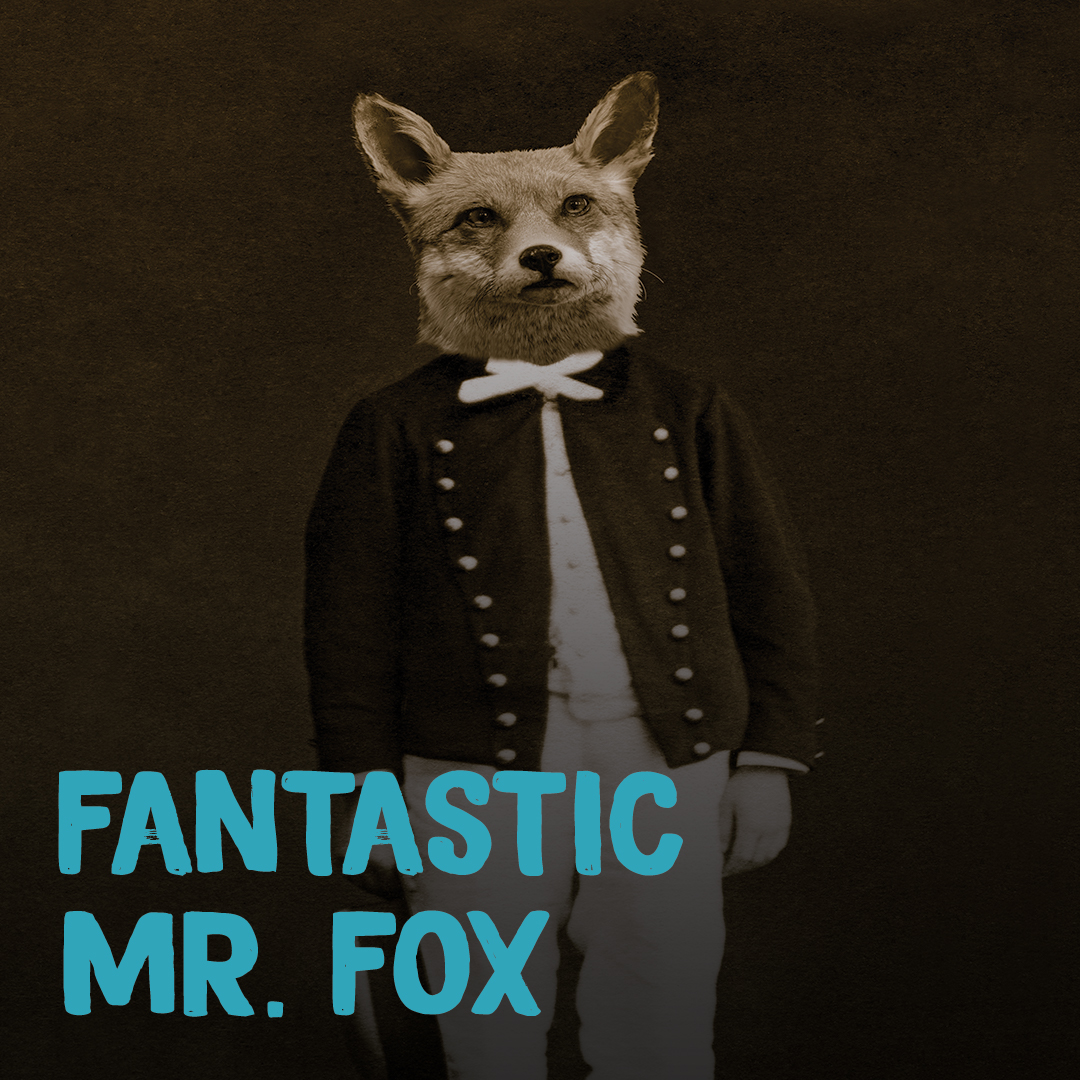 mr fox block