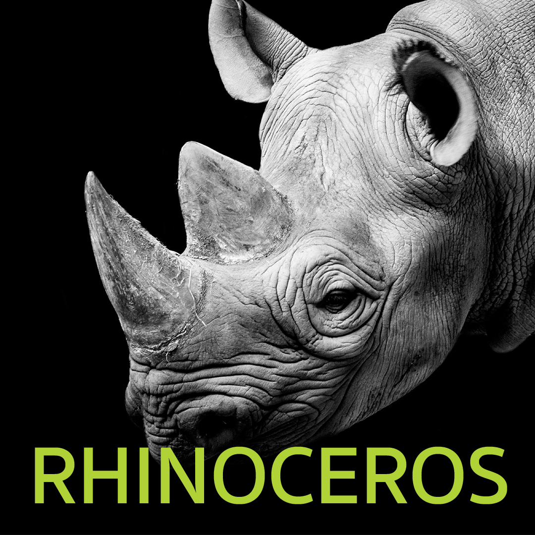 rhino block