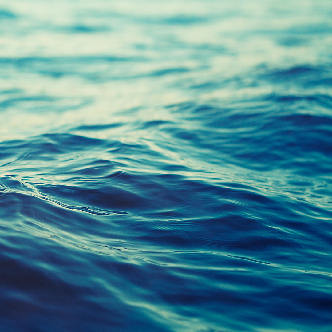 seachange-block-wellfleet-harbor-actors-theater